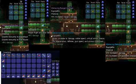 how to get extra accessory slot terraria|Accessories .